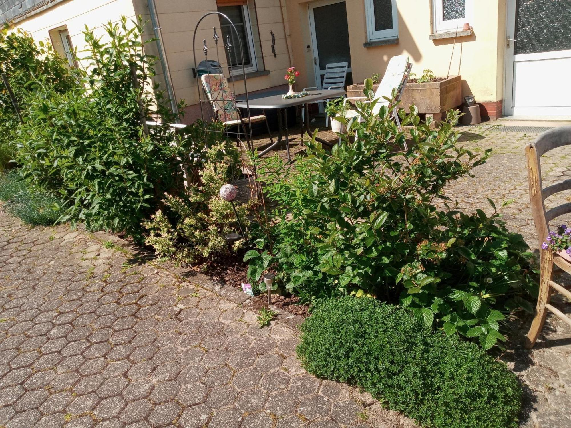 Ferienwohnung Otto Kleinich المظهر الخارجي الصورة